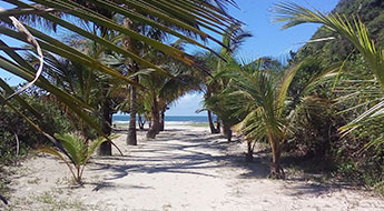 beach-perube-jureia-brazil