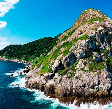 island-snakes-brazil