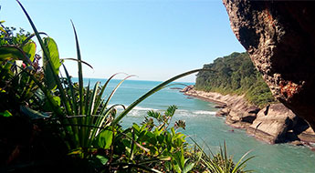 trips-brazil